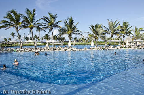 All Inclusive Hard Rock Hotel Photos Pictures Punta Cana Hard Rock Punta Cana Swimming Pool