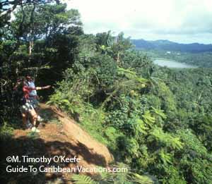 Grenada Hiking Mt Qua Qua ©M. Timothy O'Keefe  www.GuideToCaribbeanVacations.com 