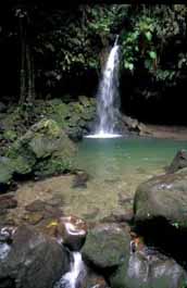 Emerald Pool falls, Dominica