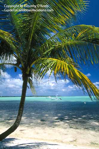 Beach at Little Cayman copyright M. Timothy O'Keefe www.GuideToCaribbeanVacations.com