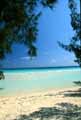 Gold Rock Beach, Grand Bahama Island copyright M. Timothy O'Keefe  www.GTCV.com