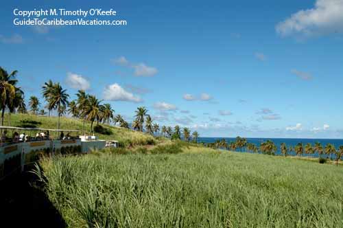 St. Kitts Scenic Railway Photos Pictures  - The Sugar Train 14 -  © M. Timothy O'Keefe - www.GuideToCaribbeanVacations.com